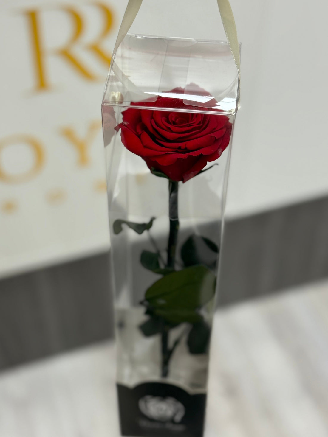 Single Stem Preserved Red Rose